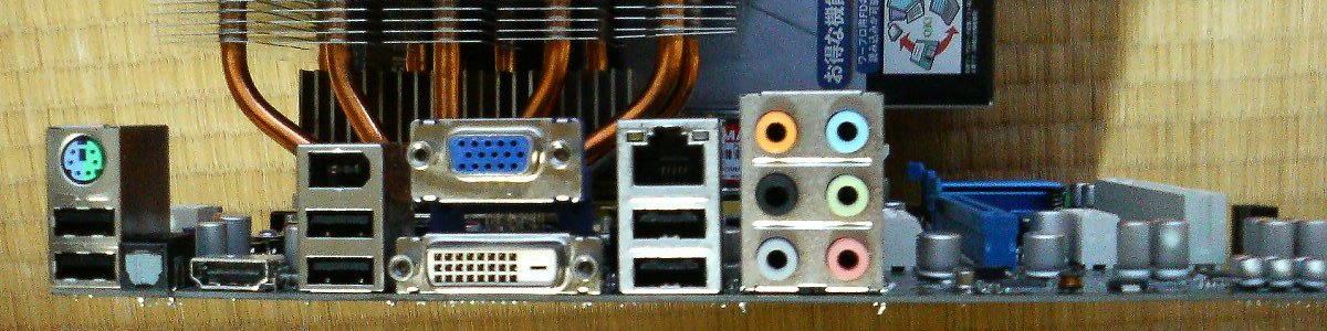 The back panel of a PC with USB, PS/2, network, video and audio sockets