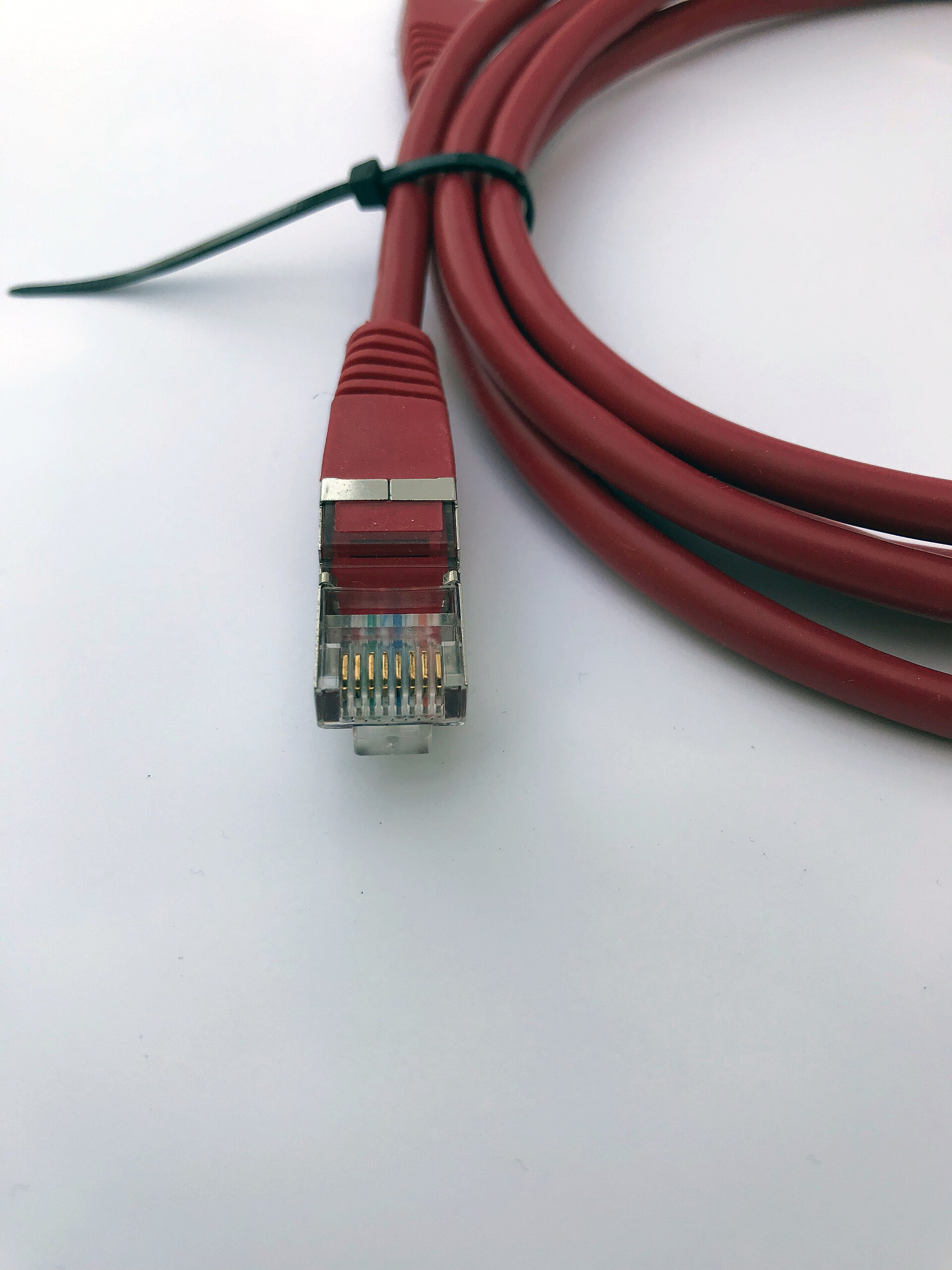 A red network cable ending in an RJ45 plug with a metal shield, showing eight gold contacts and the wires inside the clear plastic